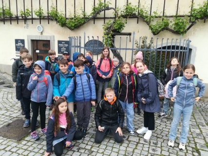 23-IMG_20230517_093342