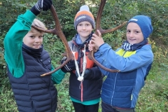 Waldtag